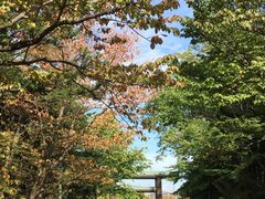 -北海道神宫