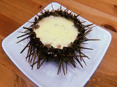 -海胆小馆(东北水饺·春柳店)