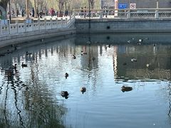 -莲花池公园