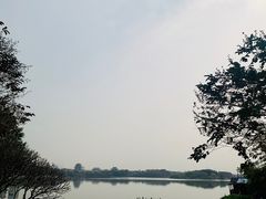-海珠湖公园