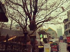 -Hello Kitty Cafe(弘大店)