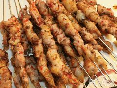 -鼎原力量东北吊炉烧烤(临河街店)