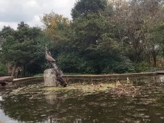 -昆明市金殿名胜区