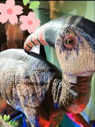 -恐龙探索乐园(磁器口店)