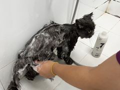 -美联众合24小时·皮肤科·外科·全科诊疗中心(华苑分院)
