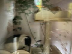 -203密室逃脱体验馆·聚会·亲子·团建(中关村店)