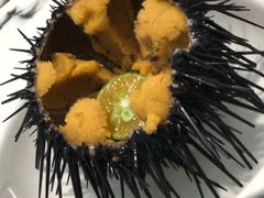 -南山酒肆(南山董事绘店)