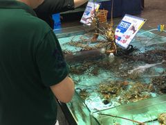 水产区-渔民新村(番禺总店)