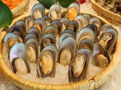 -长春高新益田福朋喜来登酒店·宜客乐标帜餐厅