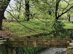 -杭州植物园