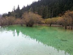 -黄龙山原始森林景区