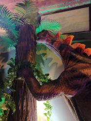 -恐龙探索乐园(磁器口店)