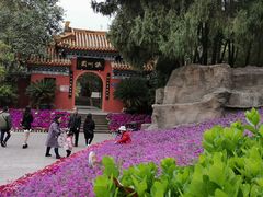 -富乐山