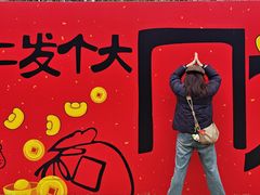 -合肥滨湖国家森林公园
