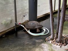 -厦门园林博览苑