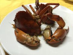 -莲花公园煎蟹(总店)