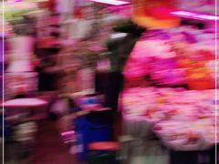 -花鸟鱼虫鲜花绿植市场(玉泉路店)