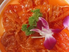 -蜀九香火锅(彩虹店)