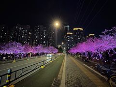 -西北湖绿化广场