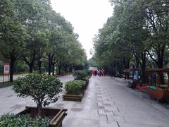 -溱湖国家湿地公园