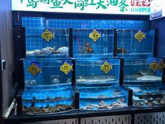 -柴火大院烤鸭民间菜