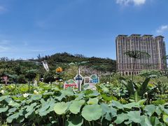 -龙环葡韵住宅式博物馆