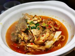 东安鸡-巢爷老味(东方红店)