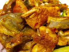 -顺德了能馆(虎门店)