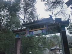 -缙云山景区