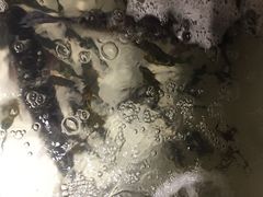 -小小河边鱼(天润城店)