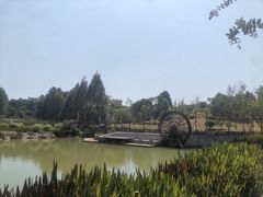 -铁山坪森林公园