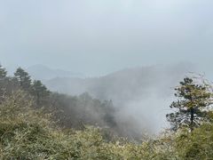 -南岳衡山风景名胜区