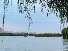 -济南大明湖景区