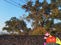 -楠溪江风景名胜区