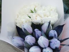 -双季花艺园艺市场(浦东店)