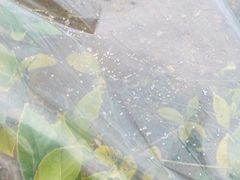 -神光山国家森林公园