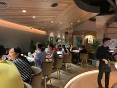 大堂-大树餐厅(益田假日店)