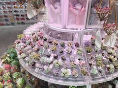 -KKV(深圳kk one 店)