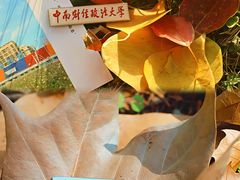 -中南财经政法大学(首义校区)