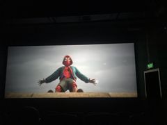 -奥斯卡升龙国际影城(RealD Cinema)