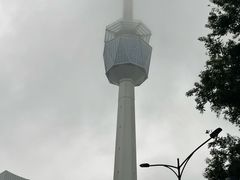 -陕西自然博物馆