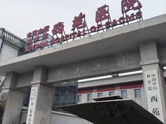 -中国中医科学院西苑医院(本部)