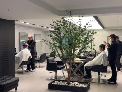 点击看大图 -付军剪艺JF ProSalon