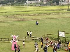 -长沙黑麋峰国家森林公园