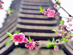 -玲珑塔公园