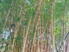 -晓港公园