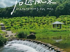 -广州市石门国家森林公园