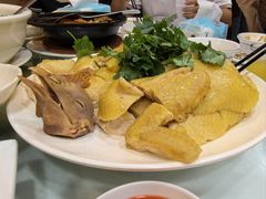 招牌阳江白切鸡-阳江餐厅·30年老字号·粤菜海鲜大排档