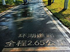 -海珠湖公园
