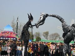 -荷兰花海